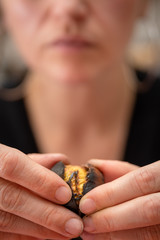 woman opening a chestnut