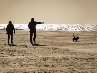 Fototapeta na wymiar couple walking the dog on the beach