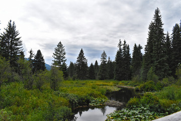 Landscape on Valley Trail, trail to Alta Lake and Rainbow Park in Whistler, BC, Canada