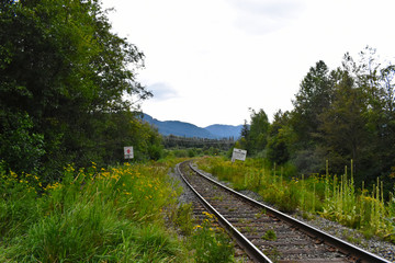 Rainbow Park railroad in Whistler, BC, Canada