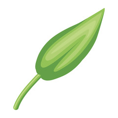 Isolated leaf icon vector design