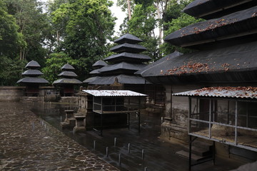 A beautiful view of Alas Kedaton Monkey Forest in Bali, Indonesia.