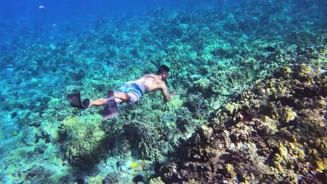 Asian Man Swimming Under Water At Coral Reef