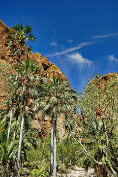 Echidna Chasm In The Bungle Bungle National Park