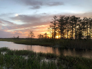 Louisiana Swamp sunset silhouette and reflections
