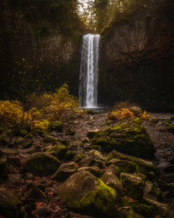 Fototapeta na wymiar Fall at Abiqua Falls - Oregon