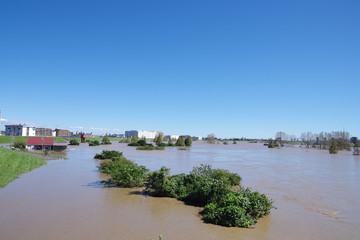 荒川の増水