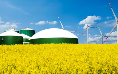 Biogas Anlage steht hinter einem Rapsfeld bei blauem Himmel - obrazy, fototapety, plakaty