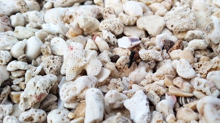 gravel on the beach. natural background pattern