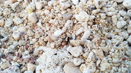 gravel on the beach. natural background pattern