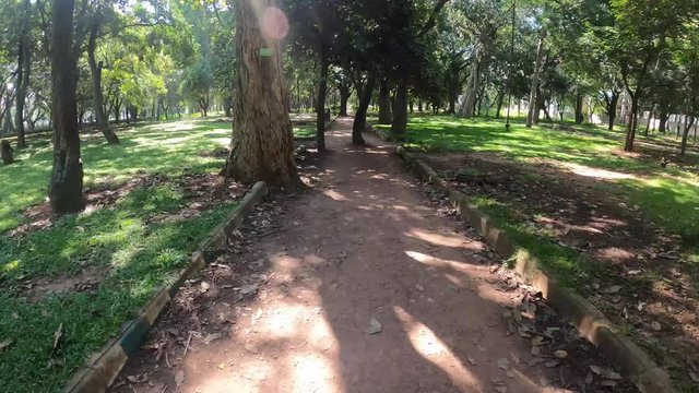 Motion timelapse of walking in a park with camera handheld