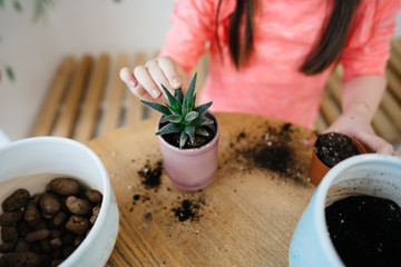 Little girl replanting a house plant in another pot