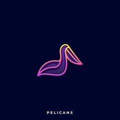 Pelicans Bird Illustration Vector Template