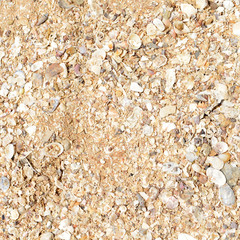 Sand texture on the beach