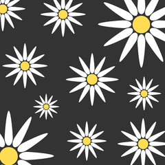 White flowers for floral background
