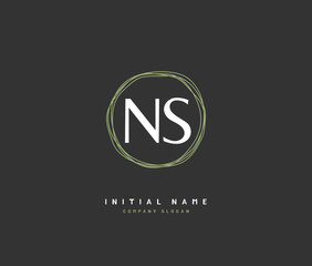 N S NS Beauty vector initial logo, handwriting logo of initial signature, wedding, fashion, jewerly, boutique, floral and botanical with creative template for any company or business.