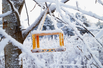 Beautiful feeder for bird in winter forest
