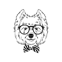 West Highland white terrier breed dog wear glasses, stripy tie bow isolated on white background Symmetrical pet head. Realistic hand drawn vector illustration.