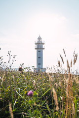 Solitude lighthouse on shoreline in summer day