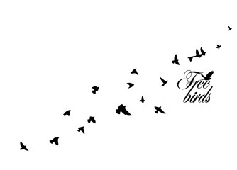 A flock of flying birds. Vector illustration