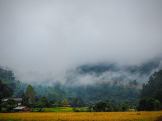 Fototapeta na wymiar Mountain in the fog
