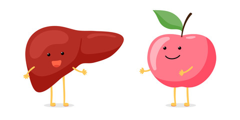 Cute cartoon healthy smiling human liver with apple character. Vector funny reversible exocrine gland internal organ mascot. Food nutrition and diet illustration