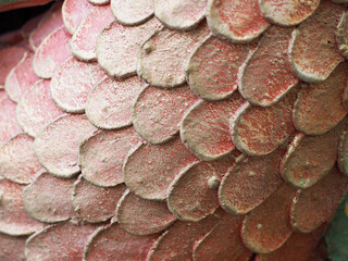 Fish scales curve pattern of of earthenware © Onn Tara