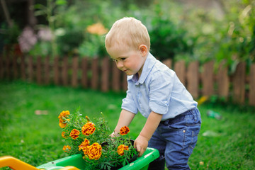 Little gardener, child plant flower in garden