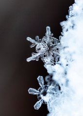 natural snowflakes on snow, winter