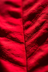 Red silk background. Velvet red background, red flowers, red leaf