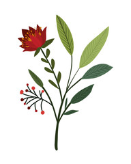 Isolated winter flower vector design