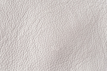 Gray leather background. Elegant texture