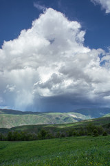 Fototapeta premium Nature Tekeli. Alatau Mountains. Kazakhstan