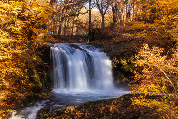 Fototapeta premium 富士吉田市紅葉の鐘山の滝