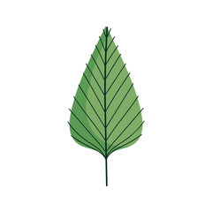 leaf foliage botanical nature icon design
