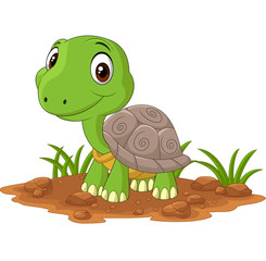 Cartoon baby turtle in the field