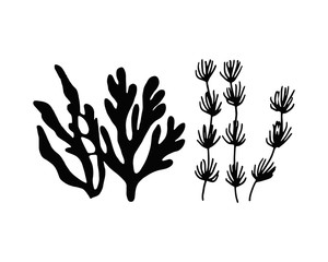 seaweed black marine food. vitamins and minerals. sketch silhouette © Yahor Shylau 
