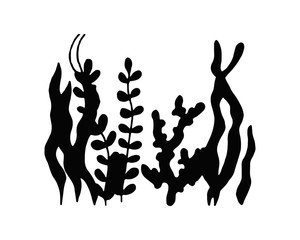 seaweed black marine food. vitamins and minerals. sketch silhouette