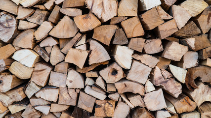beautiful natural firewood background mongrel