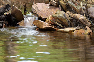 Nationalpark Hunsrueck-Hochwald