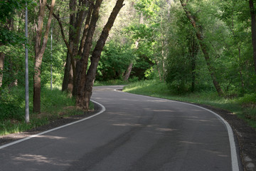 Road with a white stripe. Asphalted ridge with swirls on the background of trees. Typical rave. Last summer.