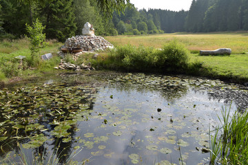 Nationalpark Hunsrueck-Hochwald