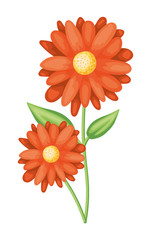 Isolated flower ornament vector design