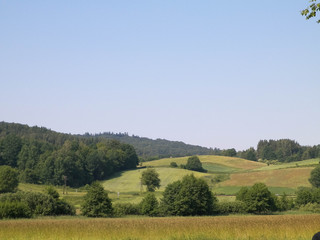Fototapeta premium Hills, fields and meadows - beautiful landscape of Wiezyca.
