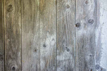 Obraz premium Interior Design - Wooden wall, old wooden board texture, grunge background
