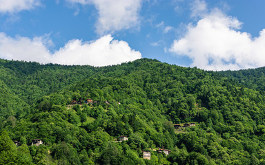 Houses between forested area and trees in the Black Sea. Blue sky and clouds.