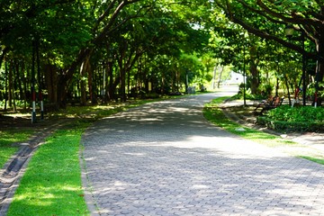 path in the park