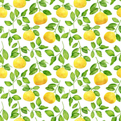 Watercolor yellow lemon branch and leaves seamless pattern. Hand drawn citrus plants isolated on white background. Botanical illustration for design and decoration, cards, wrapping, textile.