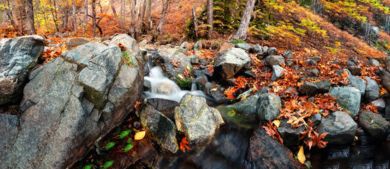 Autumn forest with a mountain river and a waterfall