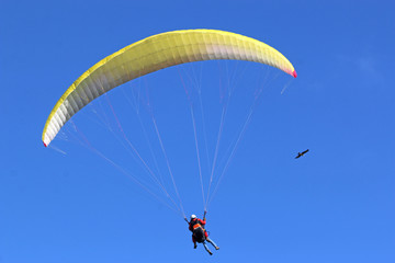 Tandem Paraglider flying wing in a blue sky	